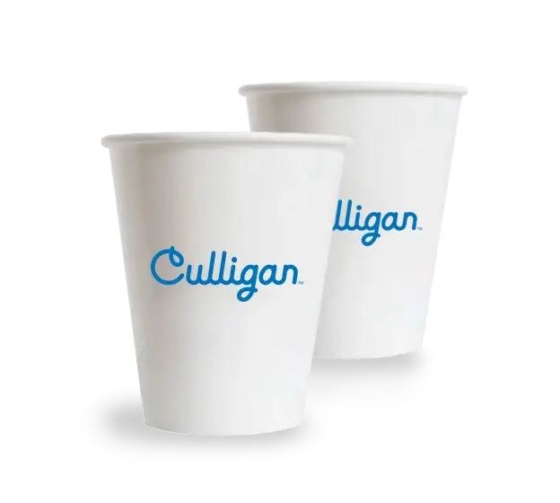 Accessories For Workplace Hydration